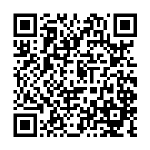 所以过去曾在一些武林中的大小事件中有过数面之缘二维码生成