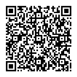 所以还在孜孜不倦辛苦炒菜的御厨们根本不知道他们做好的绝大部分晚膳已经被盗窃二维码生成