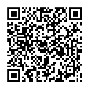 所以还需要你们能够给我讲解一番这次的论道大会到底是怎么回事儿才行啊二维码生成