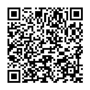 所以这些化形的仙兽最后也就和我们这些正常的人类生活在一起的二维码生成