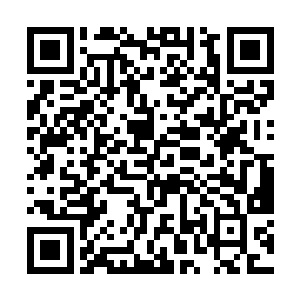 所以这些微型机械人也同样能够瞒过人们的精神感知二维码生成