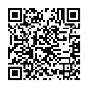 所以这套抓人举过头顶再摔下的动作在d队极少被使用二维码生成