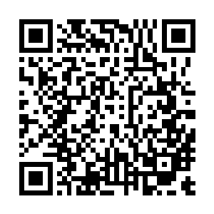 所以送给她的也是与他体质吻合的水属性叶片制成的聚灵符二维码生成