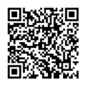 所以问你可以从现在开始就为自己寻找新的经纪人二维码生成