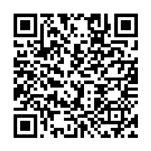 所以高扬他们根本没有给自己准备西服衬衫之类的衣服二维码生成