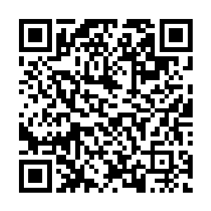 所以高扬给八连配备了四门63式火箭炮和五门迫击炮在船上二维码生成