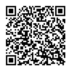 所有人便是隐约可以看到上天之中有着几道犹如神龙一样的身影在游动着二维码生成