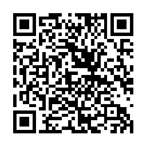 所有人最不愿意接受的任务便是和遗迹有关的任务二维码生成