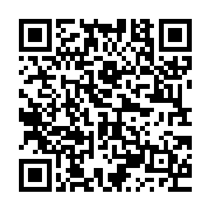 所有人都从空间戒指里拿出一个足有一尺厚的巨大圆盾举在头顶二维码生成