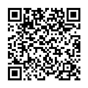 所有人都在讨论刚刚这个猜想的可行性以及跨度的时候二维码生成