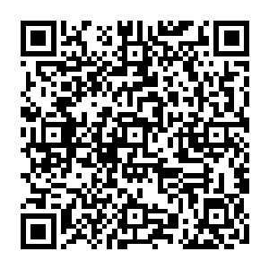 所有修仙者都下意识想到了万界商盟和黑风舰队全面开战的图景黑风舰队的战斗力二维码生成