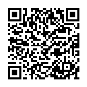 所有在谷道长不在时候的病人叶秋从不主动医病二维码生成