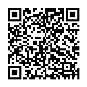 所有在这次风波中攻击中医药的国家都将列入秦洛脑海中的二维码生成