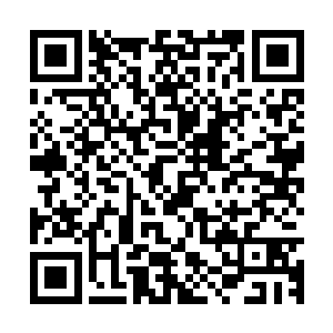 所有对金木这样的残忍无情的愤怒全部转移到了美人鱼们头上~二维码生成