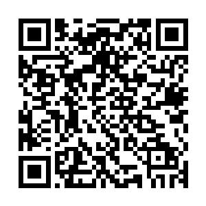 所有永夜强者都仿佛回到了在成年仪式上接受黑暗洗礼的那一刻二维码生成