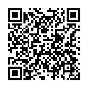 所有的圣光职业者仿若看到天塌般的满脸不可置信二维码生成