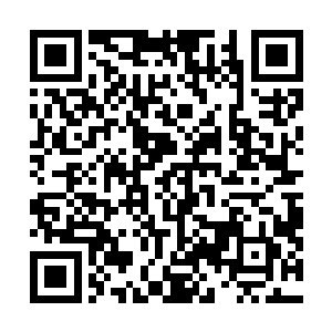 所有的墨家军将士更多的反而是对敌人的仇恨和同仇敌忾二维码生成