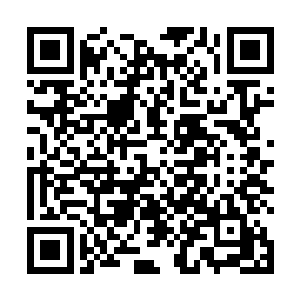 所有荣耀系列用户将可以免费升级成为世子系统正式版二维码生成