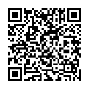 所有躲藏在那里的上品开天无一不是忌惮洞天福地的围捕二维码生成