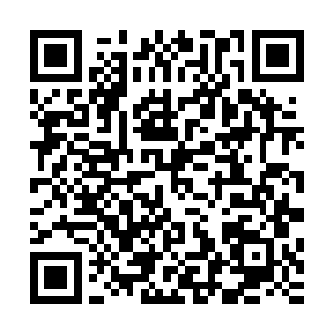 所有铁龙宗的弟子就重新聚在了以前张铁一起召集他们的地方二维码生成