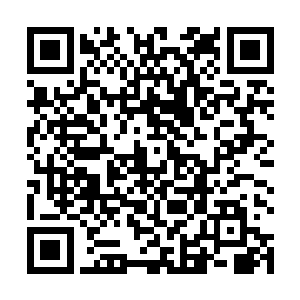 所谓的几个家族在这些修者眼中简直就是土鸡瓦狗一样二维码生成