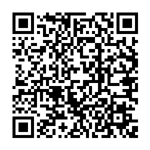 所谓的新人即便这些天得到了大机缘进阶为五重玄主甚至是六重玄主的新人二维码生成