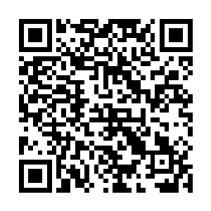 所谓的贵族社会就是一群身份不凡的人凑在一起说脏话二维码生成