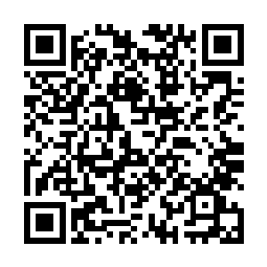 所谓的车辆安碰撞安全等级也就四五码的速度测出来的二维码生成