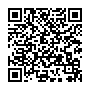 手下的外堂弟子分别撕开了手中的符箓向着妖兽扔了出去二维码生成