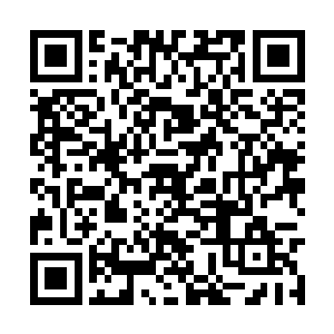 手中又出现了一颗血气与晨曦启明合一的原力炸弹二维码生成