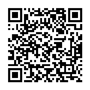 手也完全不受大脑的控制的不停的往着碗里夹了起来二维码生成