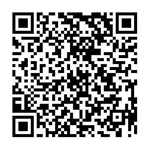 手握虎魄刀的楚旬也被那湿婆手中同样凝聚出来的灰色大刀给重重的斩飞了出去二维码生成