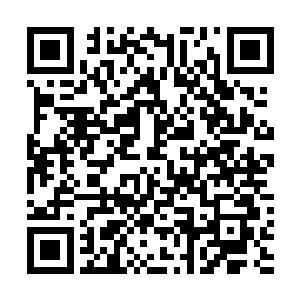 手里的筹码也从最初的六十万美金直线涨水到五千万美金二维码生成