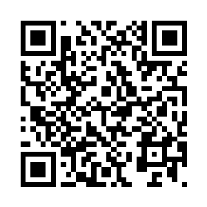 手里都备有几块星蟒皮炼制的星蟒录二维码生成