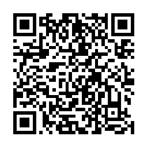 才一下子将我从几乎要昏厥过去的黑暗混乱当中抽了回来二维码生成