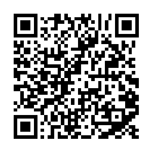 才使得我在面对不净大师的时候一副无所谓的模样二维码生成