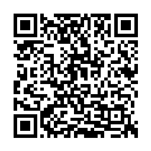 才刚刚有所好转的果树又一次恢复了原本的状态二维码生成