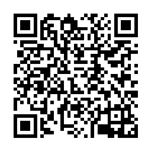 才可以为他们这一次的扶桑之行带来极大的成功和磨练二维码生成