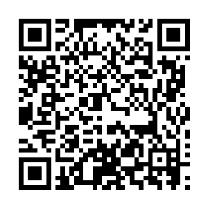 才明白敢情自己在大世界和在小世界的白莲境界没太大区别二维码生成
