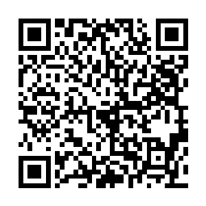 才有人在璃城郊外发现了一句早已死去多时伤痕累累的尸体二维码生成