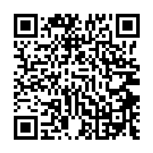 才看到陌星子带着昏迷的倒霉蛋和陌路离殇到了晶珠水榭二维码生成