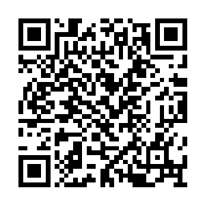 才能稳定乃至提升酒庄每年量产酒的销量和售价二维码生成