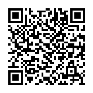 才能让阿御再一次主动地放弃着他自己的生命呢二维码生成