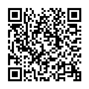 才造就了秦洛以后成为博采众家之长成为一代宗师的果二维码生成