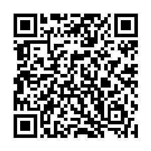 打定主意要将修为突破后再去寻找熔岩大领主的麻烦二维码生成