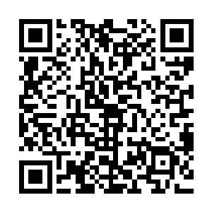 打开五行至尊伪界轻易救下了幸存的百来名走兽和飞禽系妖皇二维码生成