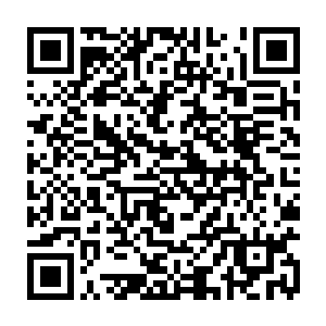 打电话进来的人无一不是在聊了两句之后就扯到了贝海即将在添的新船上二维码生成