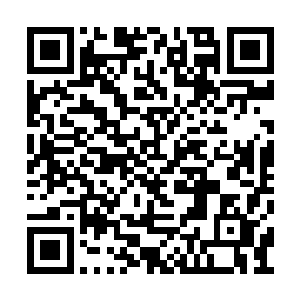 打算速战速决的龙傲天没有等他们有任何的行动二维码生成