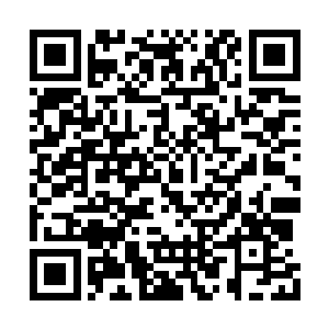 托塔卡夫和水明月顿时看不到了前方的战斗场景二维码生成