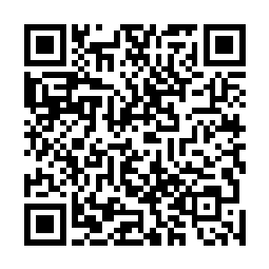 扫出了两枚乾坤戒――都是李耀从罗德教授手上摘下来的二维码生成